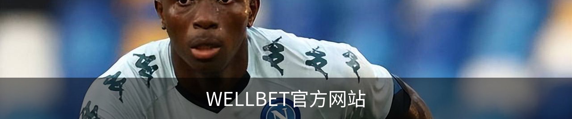 WELLBET官方网站